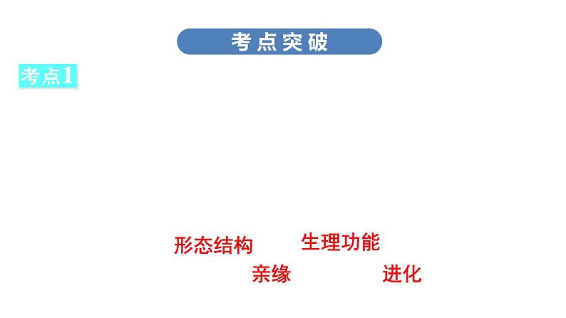 中考生物总复习第2部分　第6单元　生物的多样性及其保护课件第5页