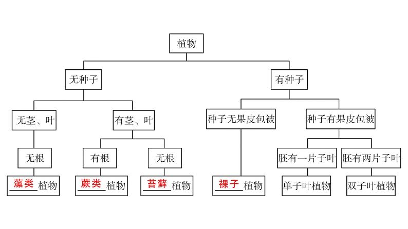 中考生物总复习第2部分　第6单元　生物的多样性及其保护课件第7页