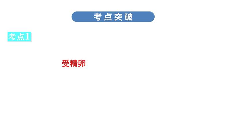 中考生物总复习第2部分　第7单元　第1章　生物的生殖和发育课件06