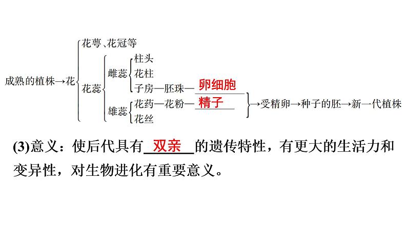 中考生物总复习第2部分　第7单元　第1章　生物的生殖和发育课件07