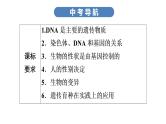 中考生物总复习第2部分　第7单元　第2章　生物的遗传与变异课件