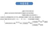 中考生物总复习第3部分 专题4　生物体的结构层次课件