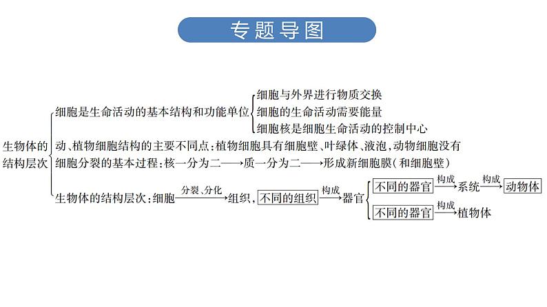 中考生物总复习第3部分 专题4　生物体的结构层次课件第3页