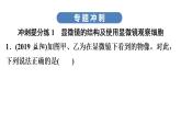 中考生物总复习第3部分 专题4　生物体的结构层次课件