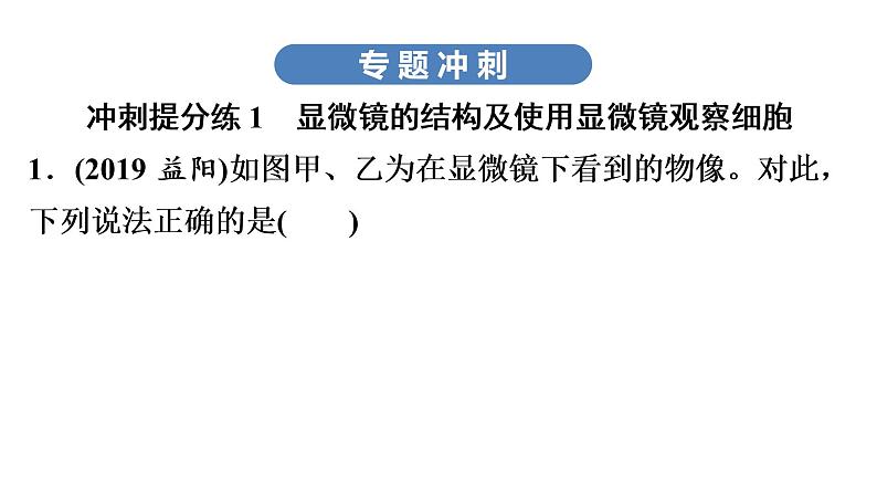 中考生物总复习第3部分 专题4　生物体的结构层次课件第4页