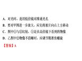 中考生物总复习第3部分 专题4　生物体的结构层次课件