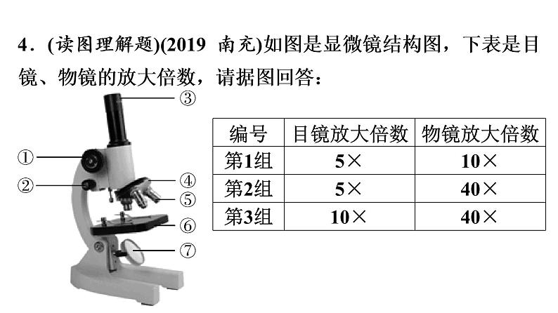 中考生物总复习第3部分 专题4　生物体的结构层次课件第7页