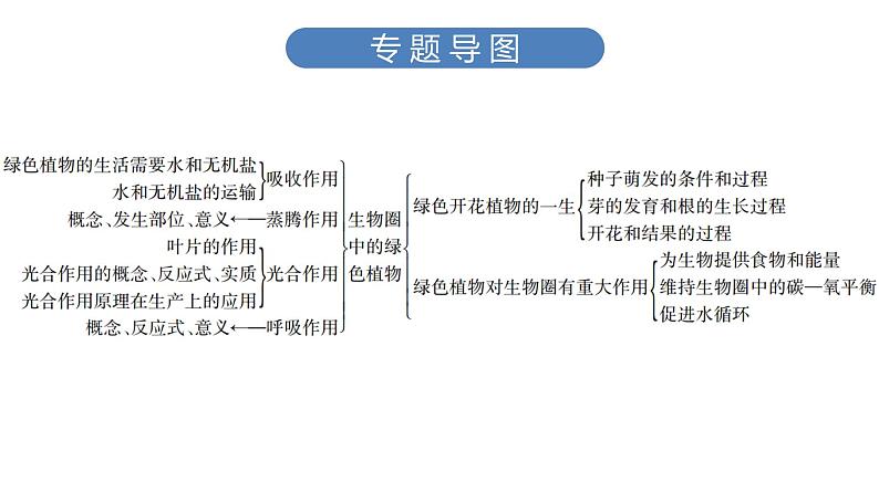 中考生物总复习第3部分 专题5　生物圈中的绿色植物课件第3页