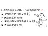中考生物总复习第3部分 专题5　生物圈中的绿色植物课件