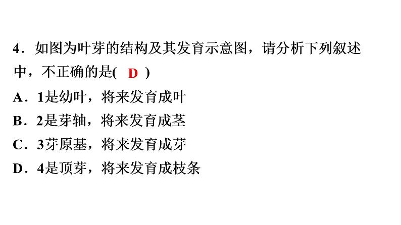 中考生物总复习第3部分 专题5　生物圈中的绿色植物课件第7页