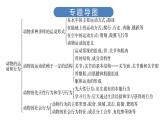 中考生物总复习第3部分 专题7　动物的运动和行为课件