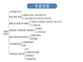 中考生物总复习第3部分 专题8　生物的多样性及保护课件