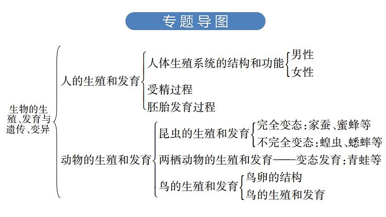 中考生物总复习第3部分 专题9　生物的生殖、发育与遗传、变异课件第3页