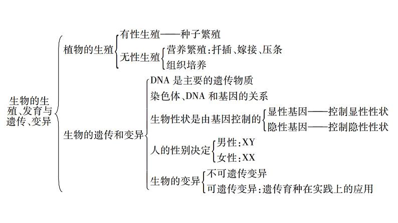 中考生物总复习第3部分 专题9　生物的生殖、发育与遗传、变异课件第4页