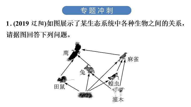 中考生物总复习第3部分 专题11　综合题训练——读图理解题课件第3页