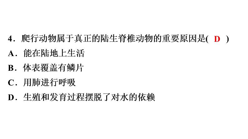 中考生物总复习阶段检测专题试卷——八年级上册课件04