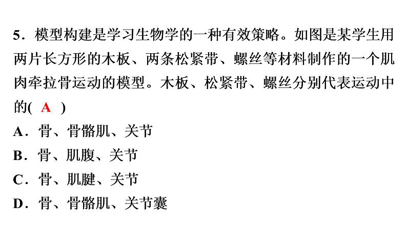 中考生物总复习阶段检测专题试卷——八年级上册课件05