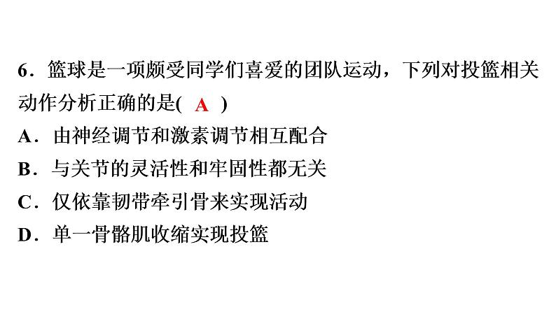 中考生物总复习阶段检测专题试卷——八年级上册课件06