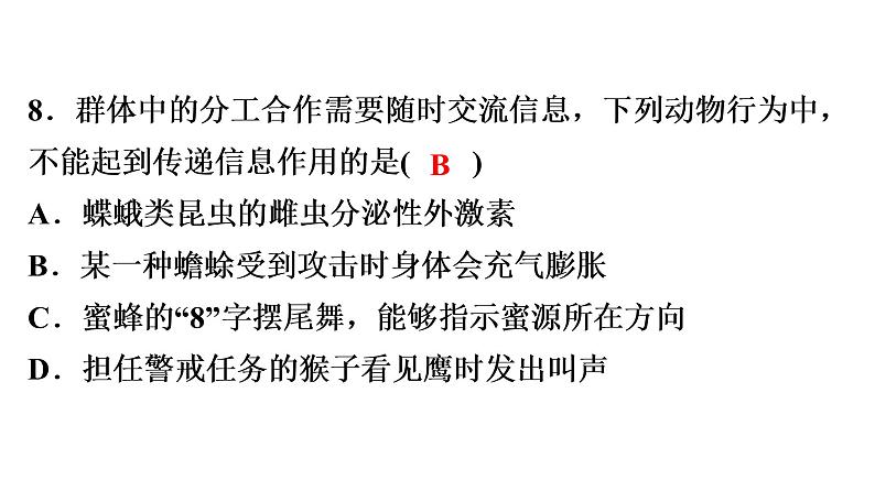 中考生物总复习阶段检测专题试卷——八年级上册课件08