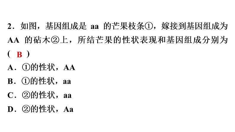 中考生物总复习阶段检测专题试卷——八年级下册课件03