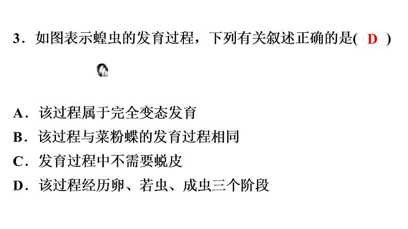 中考生物总复习阶段检测专题试卷——八年级下册课件04