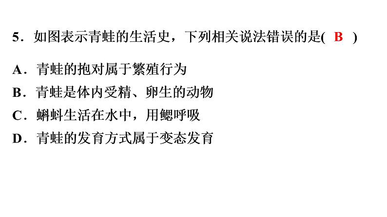 中考生物总复习阶段检测专题试卷——八年级下册课件06