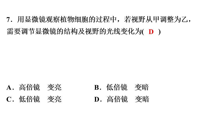 中考生物总复习阶段检测专题试卷——七年级上册课件第8页