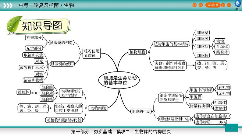 备战2023年中考生物一轮复习精讲  专题03 细胞是生命活动的基本单位-【复习指南】课件PPT05