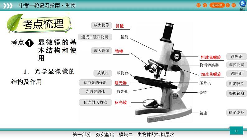 备战2023年中考生物一轮复习精讲  专题03 细胞是生命活动的基本单位-【复习指南】课件PPT06