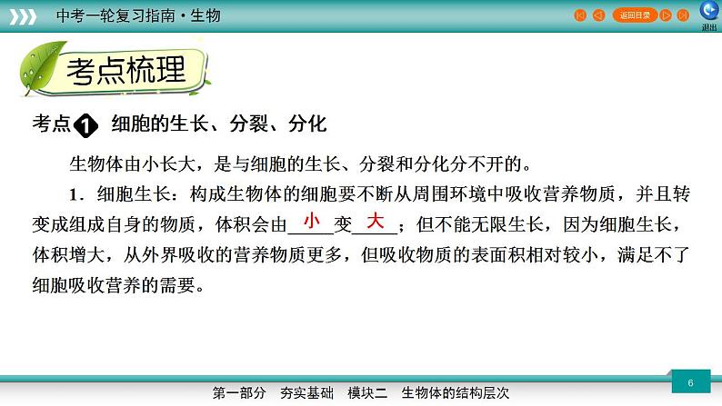 备战2023年中考生物一轮复习精讲  专题04 细胞怎样构成生物体-【复习指南】课件PPT06