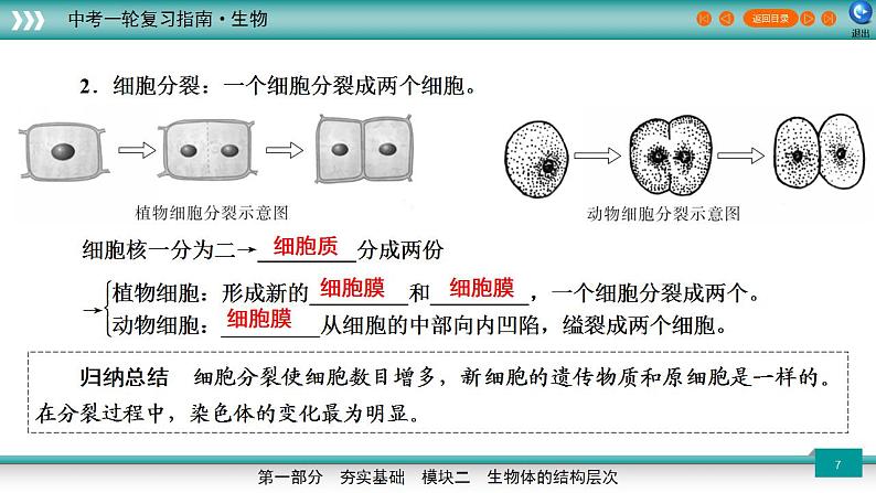 备战2023年中考生物一轮复习精讲  专题04 细胞怎样构成生物体-【复习指南】课件PPT07