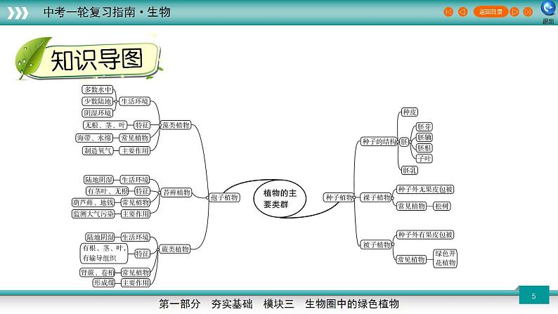 备战2023年中考生物一轮复习精讲  专题05 植物的主要类群-【复习指南】课件PPT05