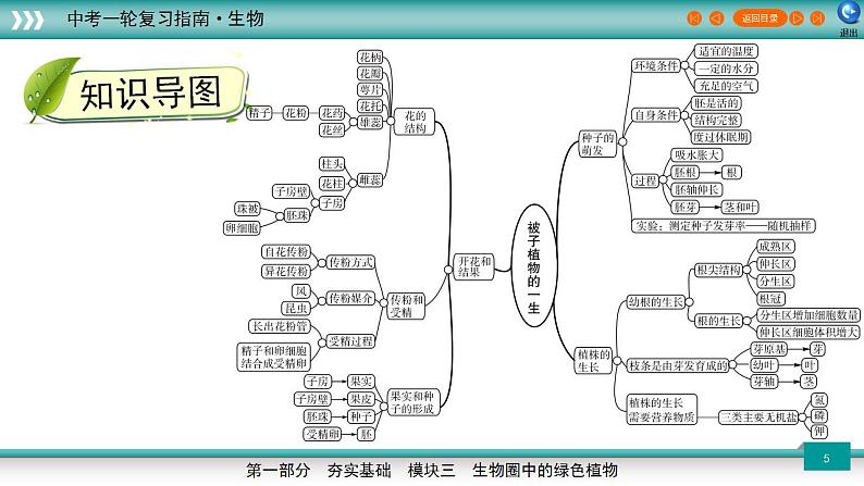 备战2023年中考生物一轮复习精讲  专题06 被子植物的一生-【复习指南】课件PPT05