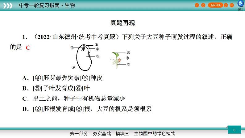 备战2023年中考生物一轮复习精讲  专题06 被子植物的一生-【复习指南】课件PPT08