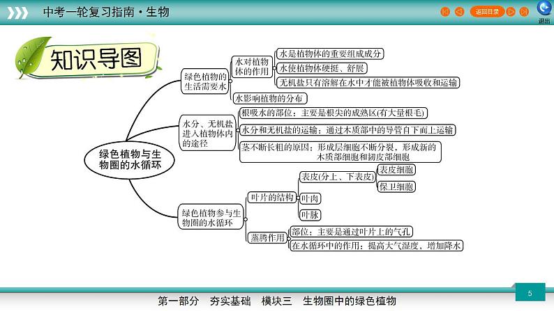 备战2023年中考生物一轮复习精讲  专题07 绿色植物与生物圈的水循环-【复习指南】课件PPT第5页