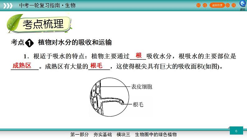 备战2023年中考生物一轮复习精讲  专题07 绿色植物与生物圈的水循环-【复习指南】课件PPT第6页