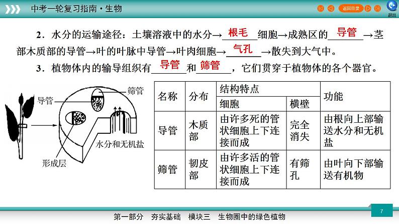 备战2023年中考生物一轮复习精讲  专题07 绿色植物与生物圈的水循环-【复习指南】课件PPT第7页