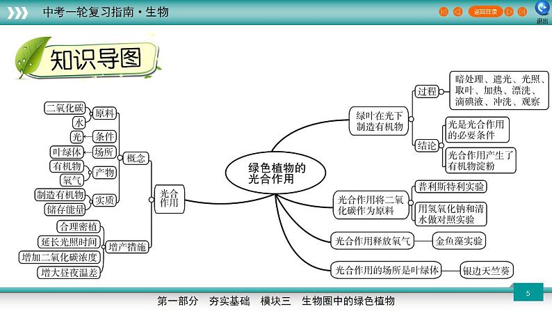 备战2023年中考生物一轮复习精讲  专题08 绿色植物的光合作用-【复习指南】课件PPT第5页