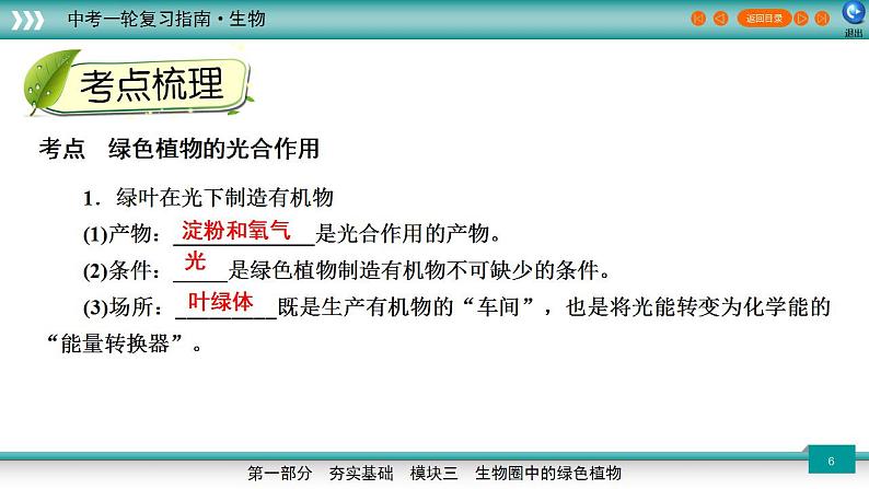 备战2023年中考生物一轮复习精讲  专题08 绿色植物的光合作用-【复习指南】课件PPT第6页