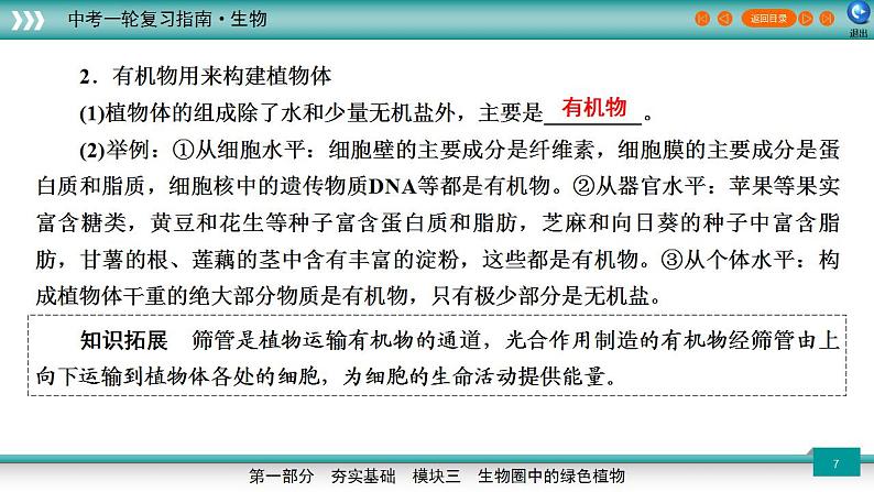 备战2023年中考生物一轮复习精讲  专题08 绿色植物的光合作用-【复习指南】课件PPT第7页