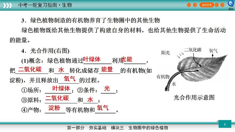 备战2023年中考生物一轮复习精讲  专题08 绿色植物的光合作用-【复习指南】课件PPT第8页