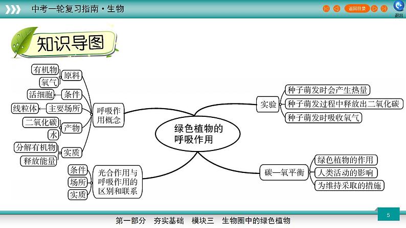 备战2023年中考生物一轮复习精讲  专题09 绿色植物的呼吸作用-【复习指南】课件PPT第5页