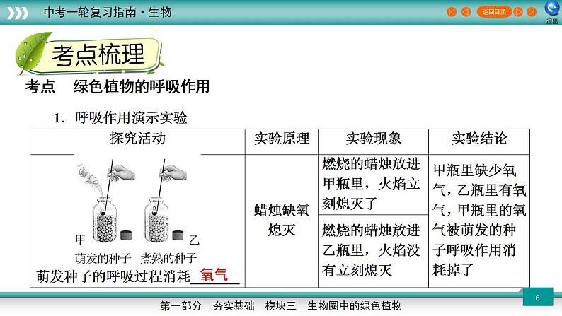 备战2023年中考生物一轮复习精讲  专题09 绿色植物的呼吸作用-【复习指南】课件PPT第6页