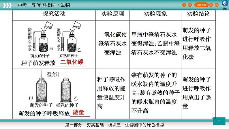 备战2023年中考生物一轮复习精讲  专题09 绿色植物的呼吸作用-【复习指南】课件PPT第7页