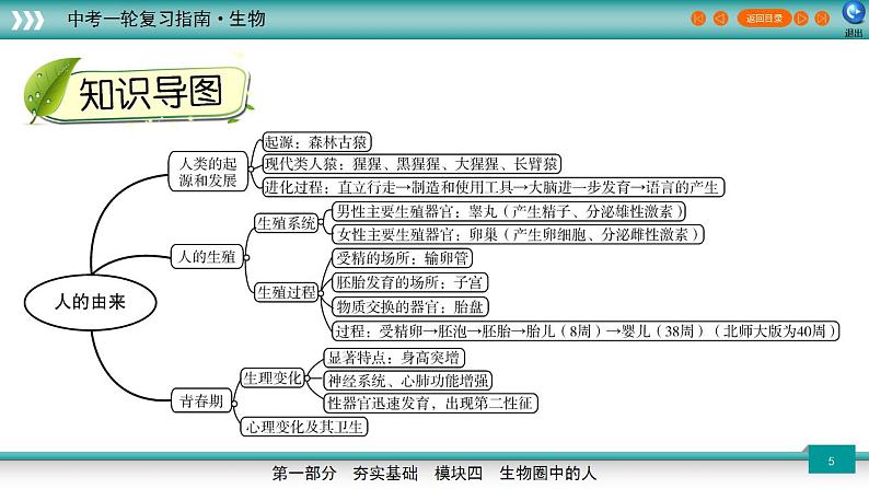 备战2023年中考生物一轮复习精讲  专题10 人的由来-【复习指南】课件PPT05