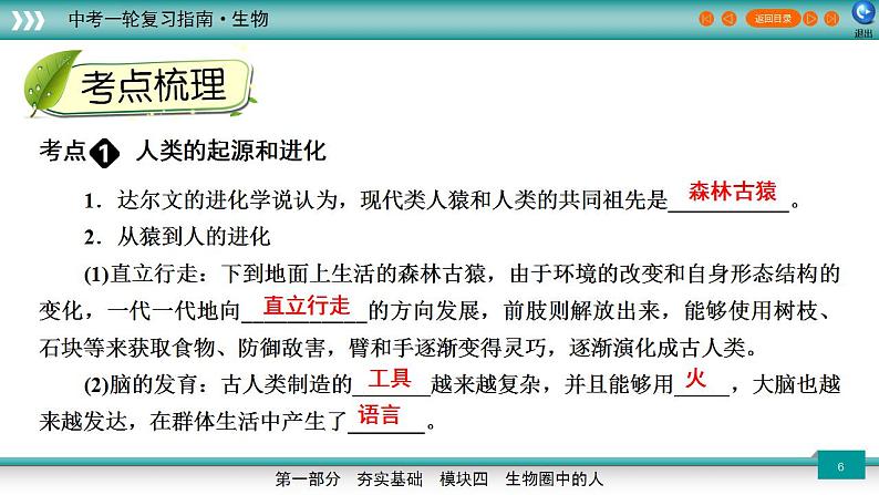 备战2023年中考生物一轮复习精讲  专题10 人的由来-【复习指南】课件PPT06