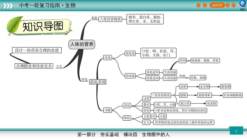 备战2023年中考生物一轮复习精讲  专题11 人体的营养-【复习指南】课件PPT第5页