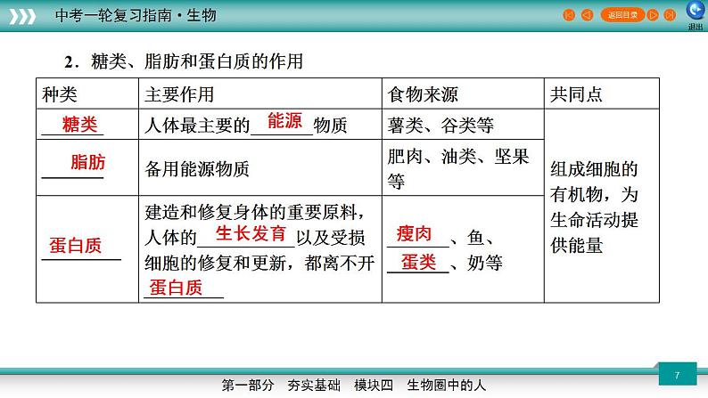 备战2023年中考生物一轮复习精讲  专题11 人体的营养-【复习指南】课件PPT第7页