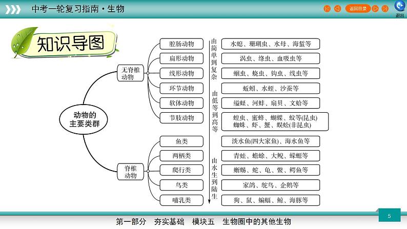 备战2023年中考生物一轮复习精讲  专题16 动物的主要类群-【复习指南】课件PPT第5页