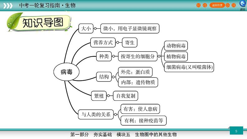 备战2023年中考生物一轮复习精讲  专题18 细菌、真菌和病毒-【复习指南】课件PPT05